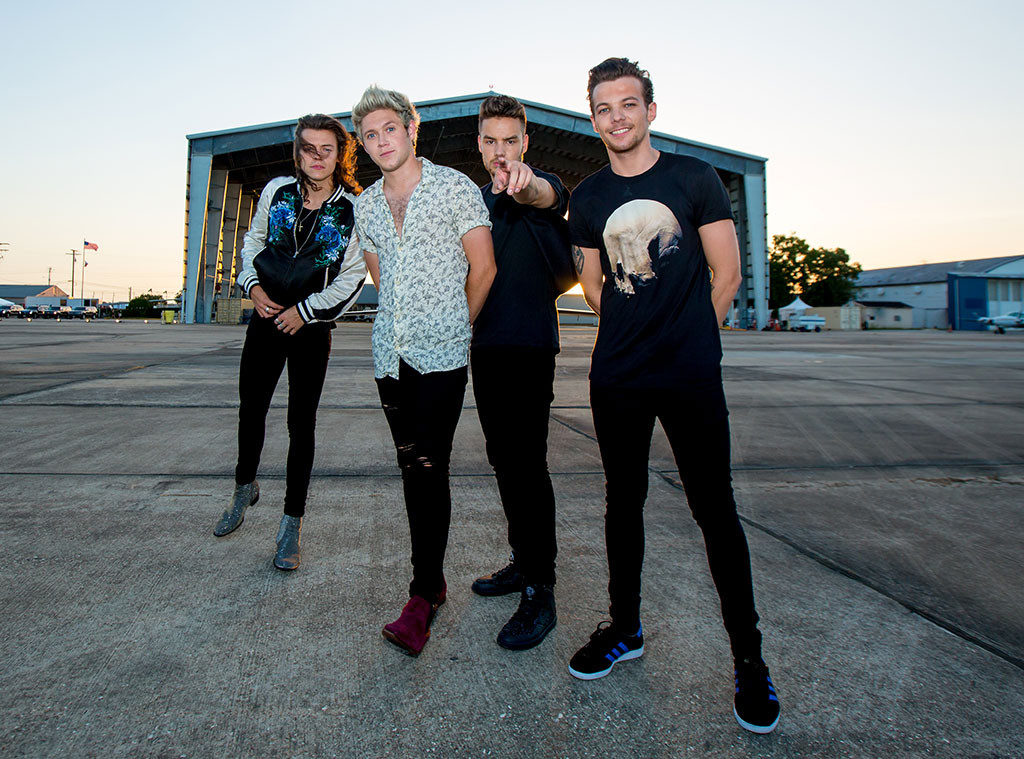 27 Things 1d Fans Can Do During The Hiatus E Online